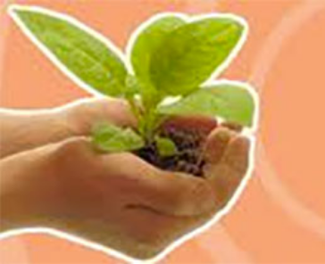 c66012f898b819c1160904b169c8238b01@2x